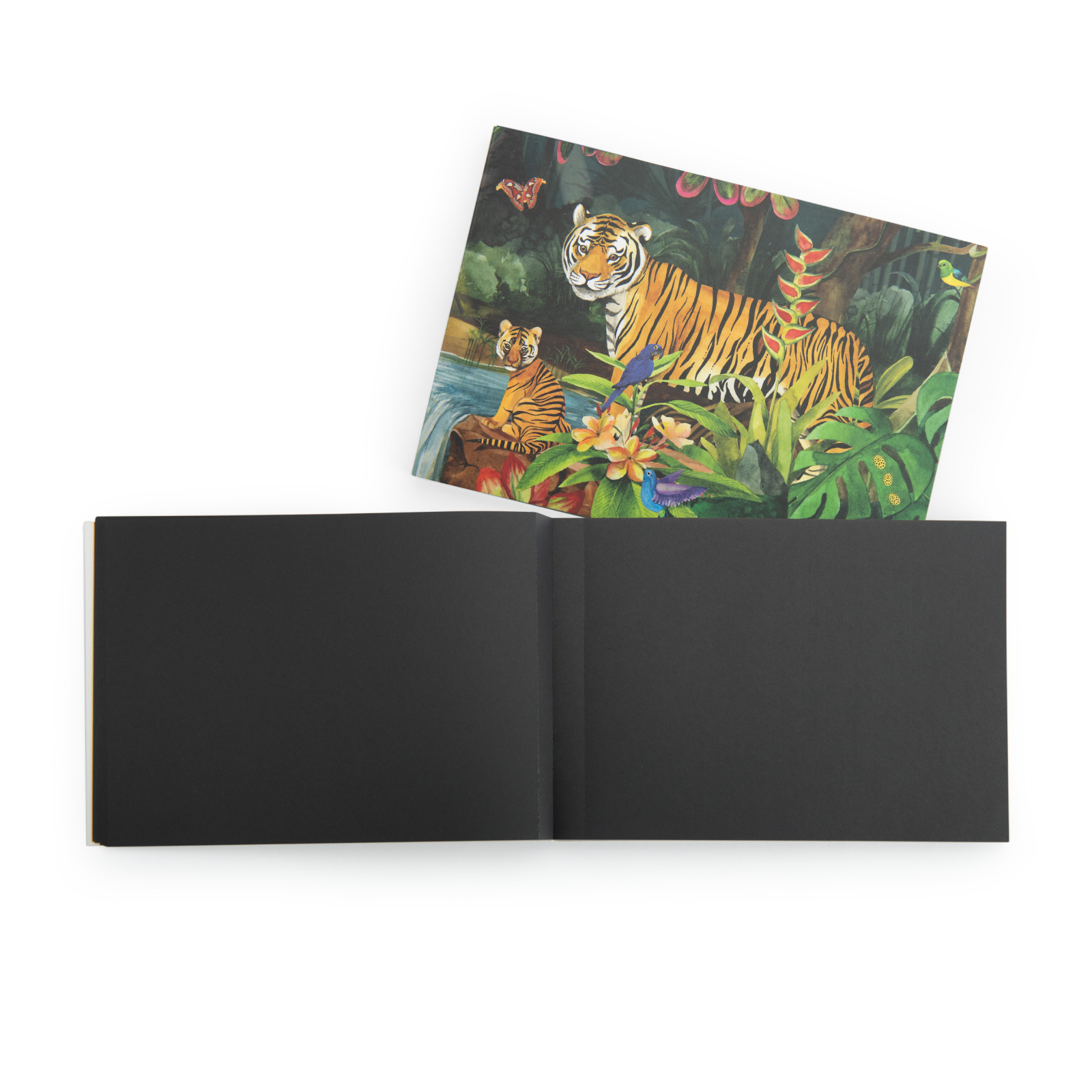 Autour du monde black paper drawing book